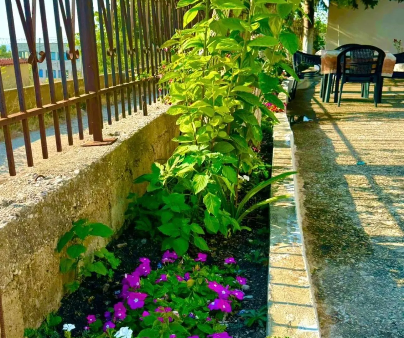Valona Apartments Vlore